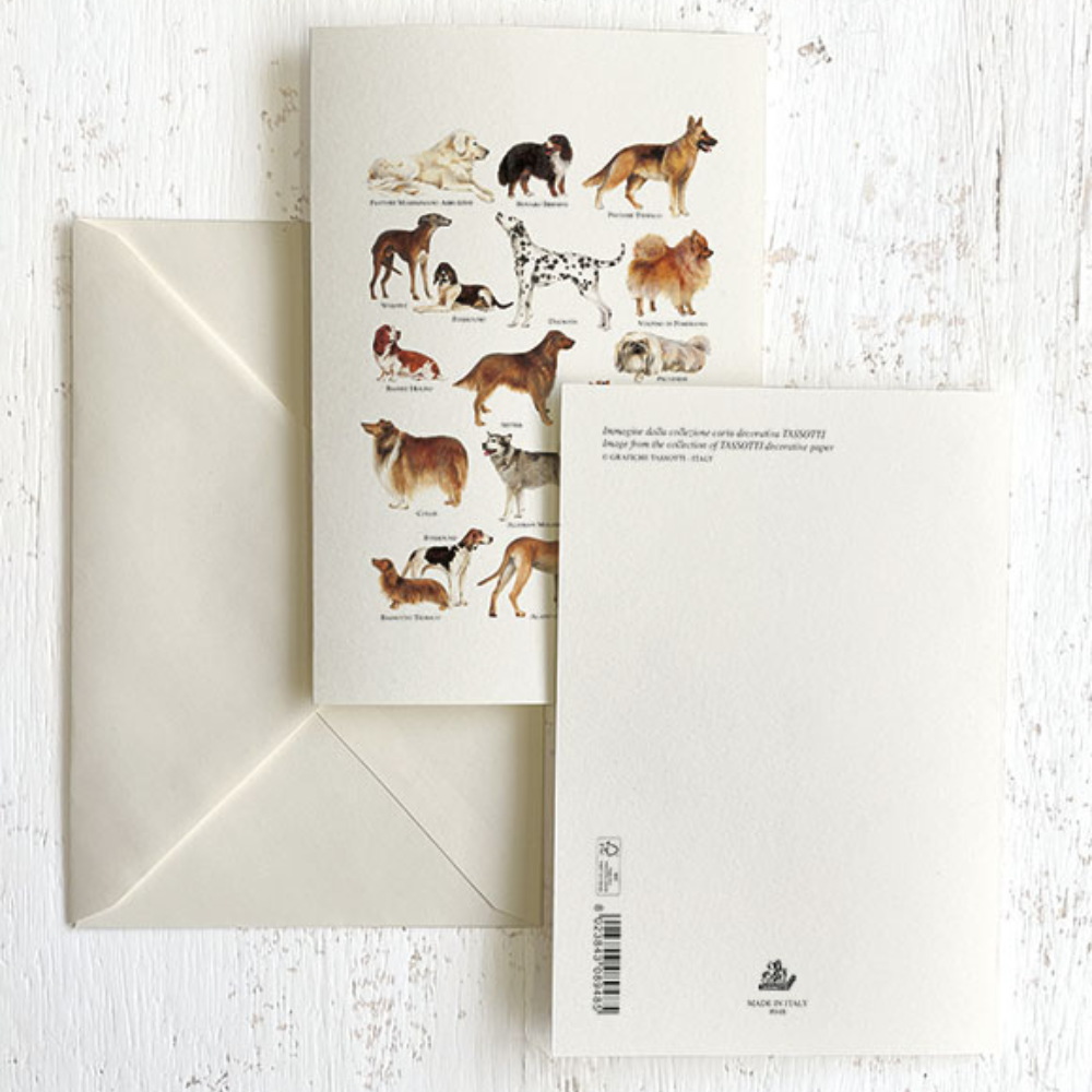 Tarjetas con diseño de animales Grafiche Tassotti