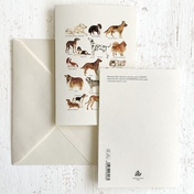 Tarjetas con diseño de animales Grafiche Tassotti