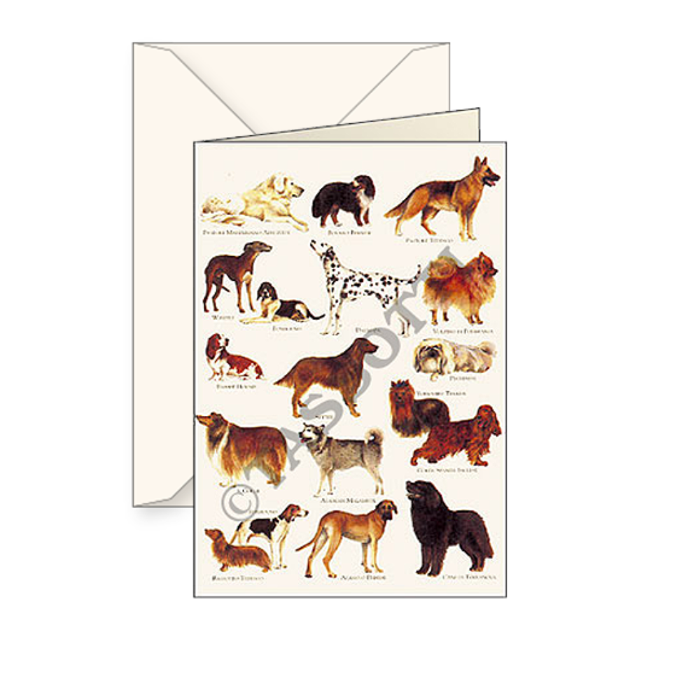 Tarjetas con diseño de animales Grafiche Tassotti