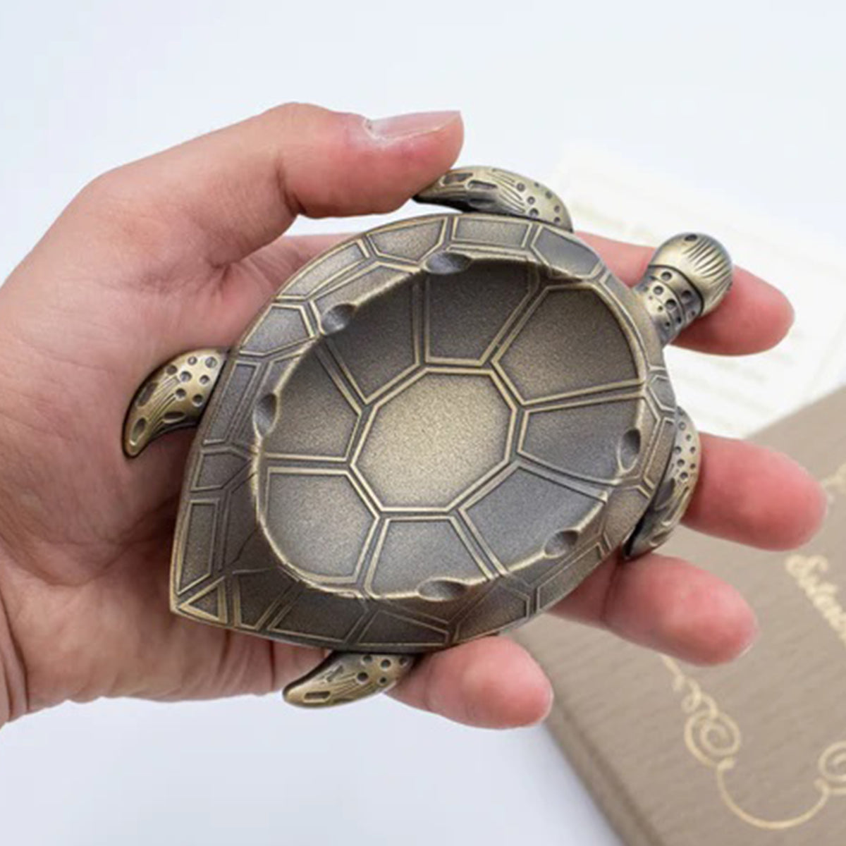 Tortuga descansa plumas Esterbrook