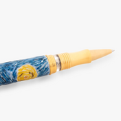 Dreaming Starry Night Visconti