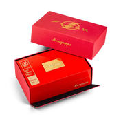 Pluma Fuente Flash Montegrappa