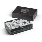 Pluma Fuente Wild: Arctic Ice Montegrappa