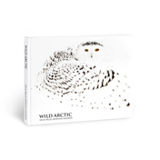 Pluma Fuente Wild: Arctic Ice Montegrappa