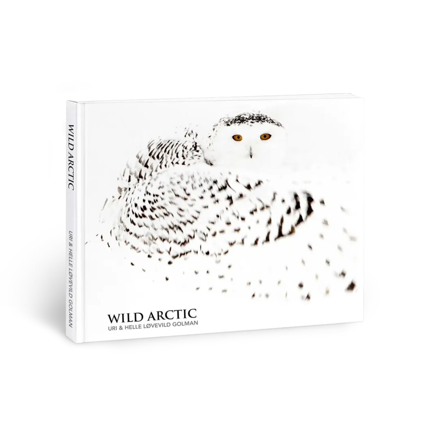 Rollerball Wild: Arctic Ice Montegrappa
