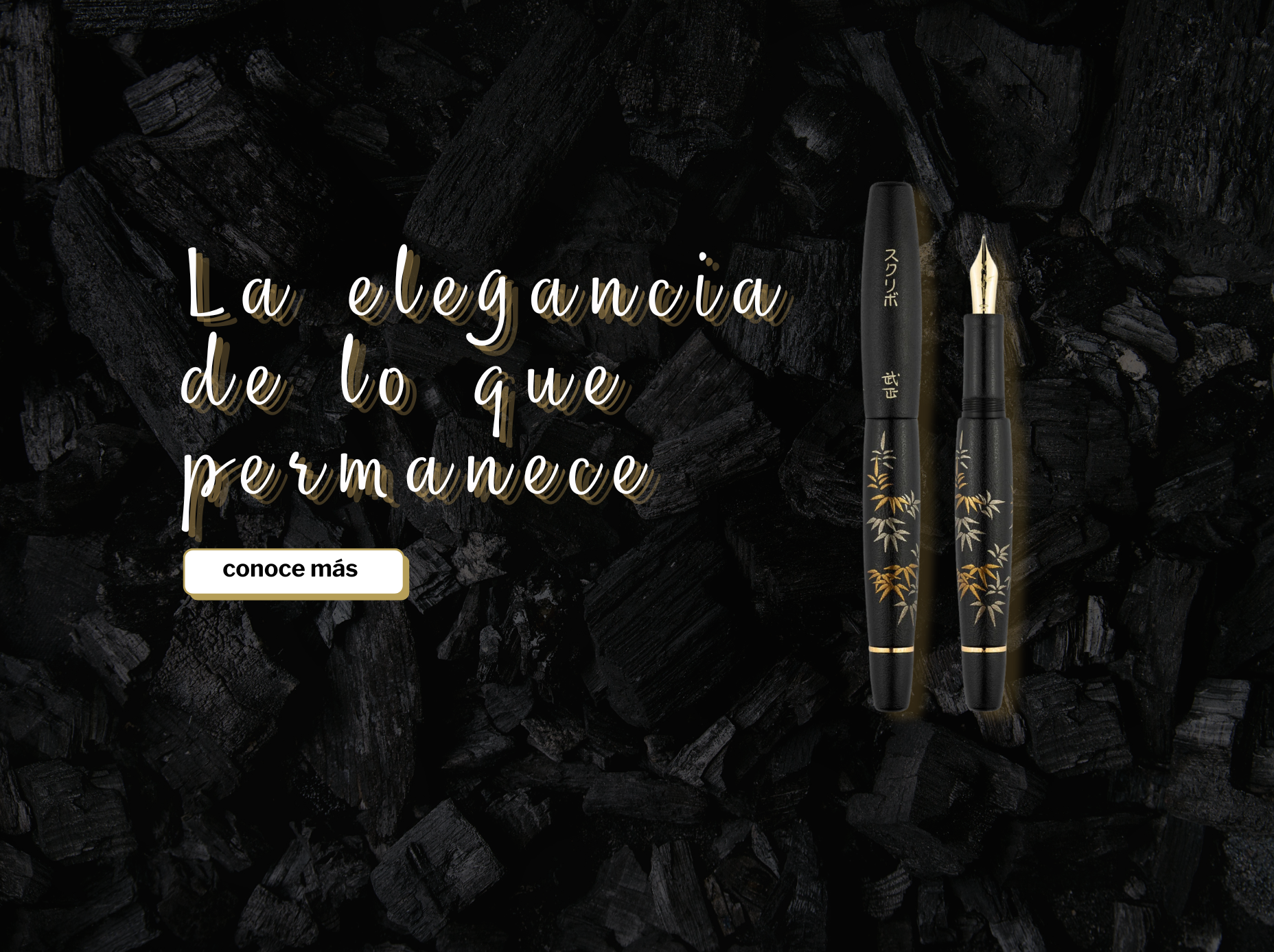 dotta_scribo_banner_desktop_2.png